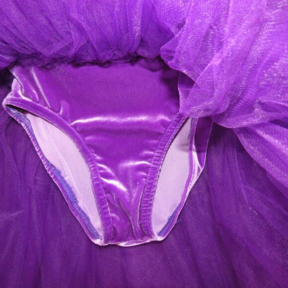 Costume Gallery Purple Ballet Tutu Velvet Sequins Ribbon Flowers Adult Small - Picture 7 of 11